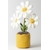 A2DAS-Amuseables-Daisy-Neutral-Detail-Shot-1