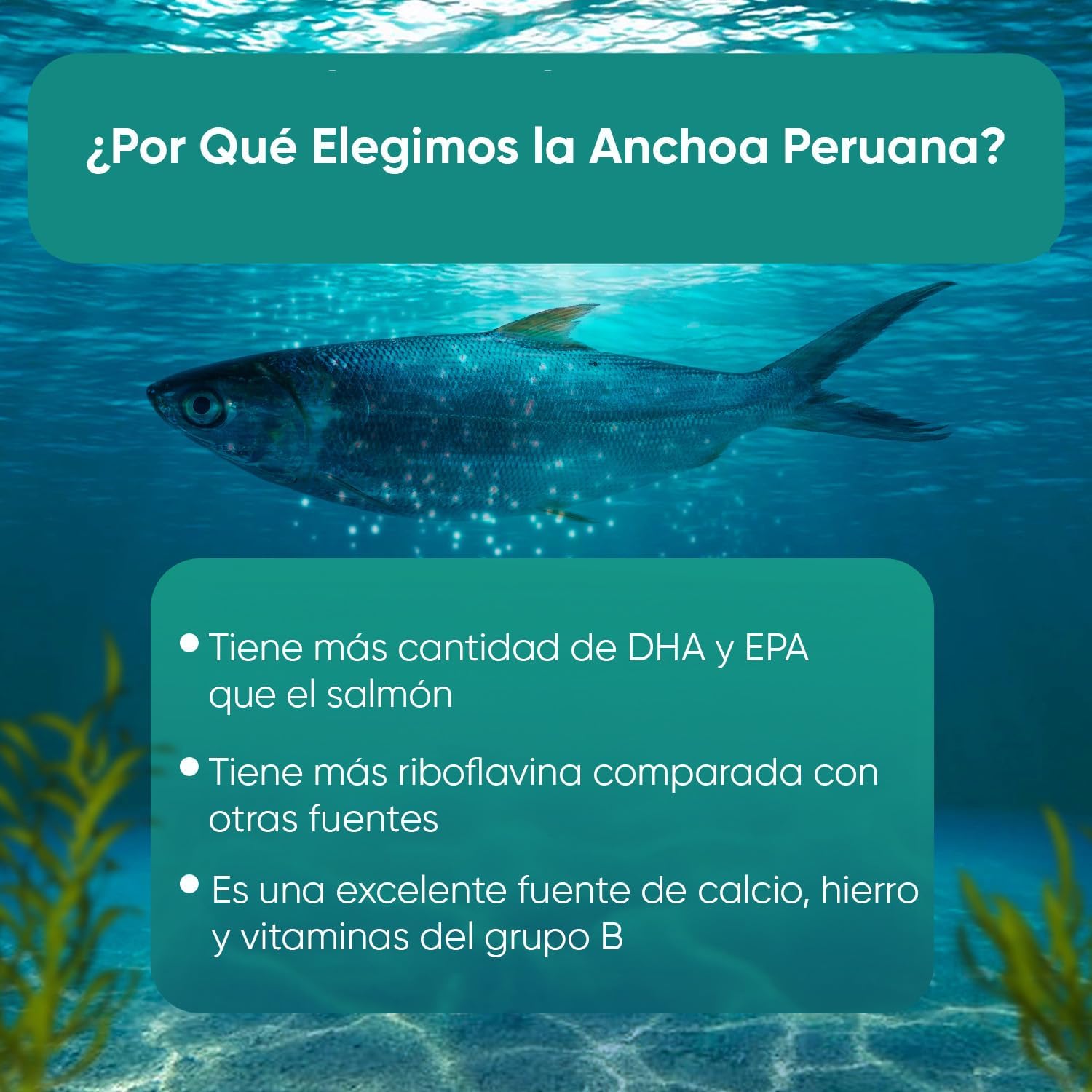 71+9fxpuqFL._AC_SL1500_