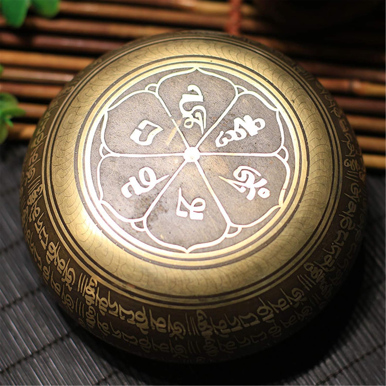 81SM7L+5-8L._AC_SL1500_