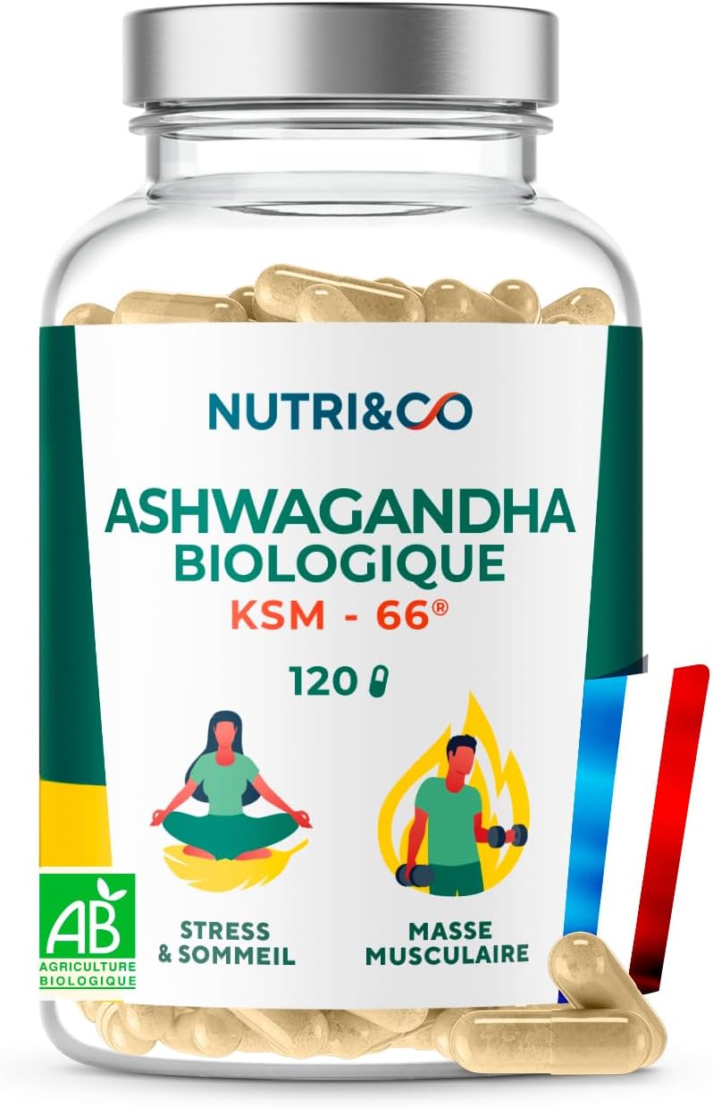 61QA+1NDs6L._AC_SL1400_