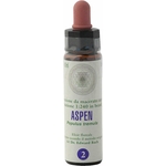 61cBPnBU+mL._AC_SL1500_