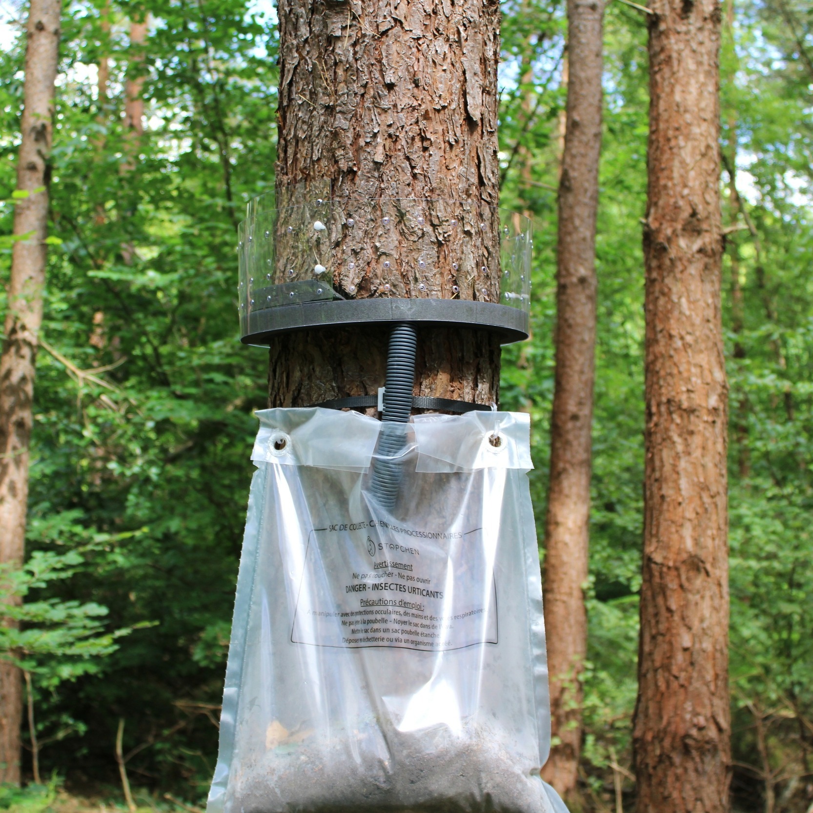 Piège à chenilles processionnaire petit modèle
