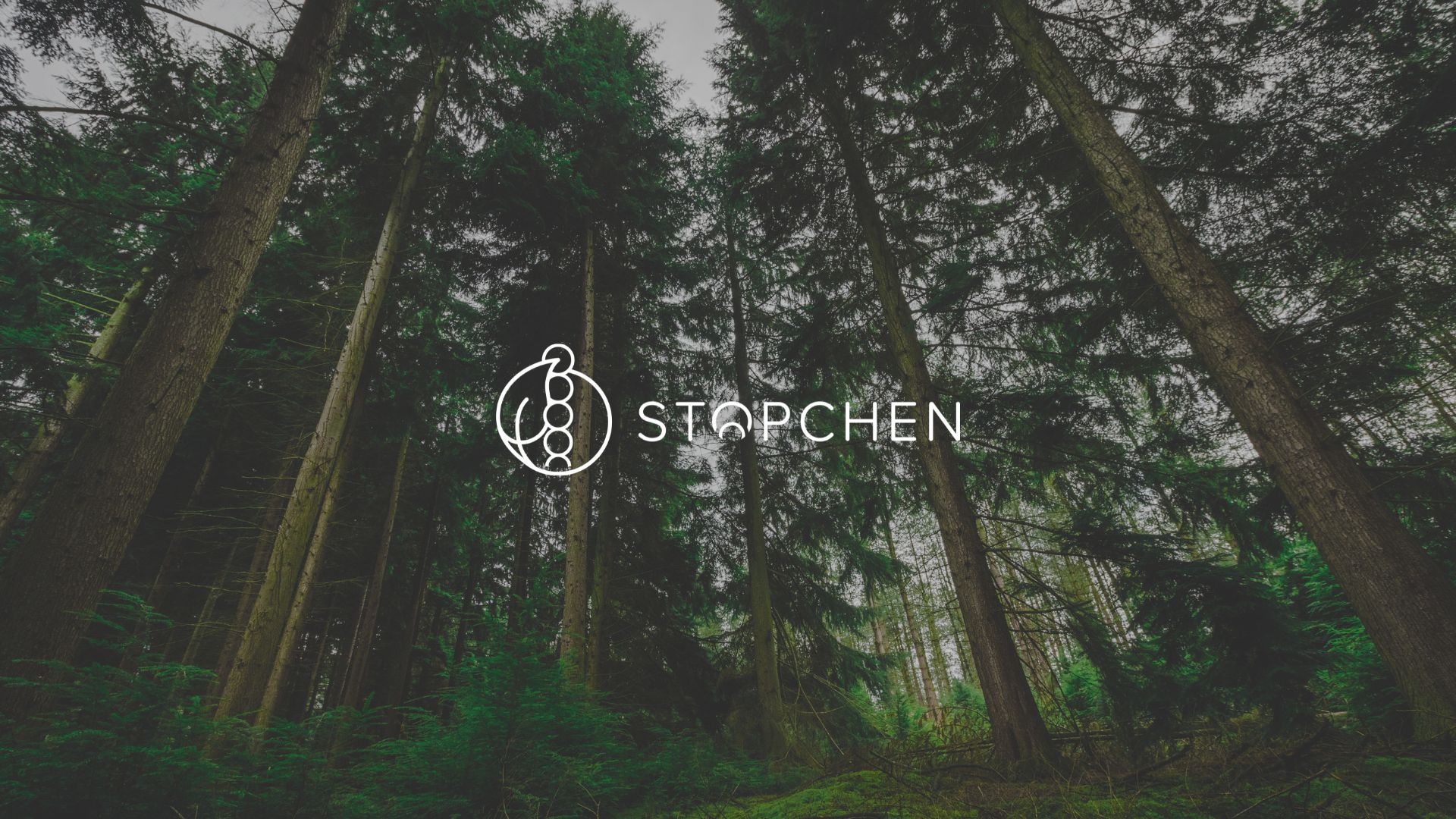 photos stopchen 6