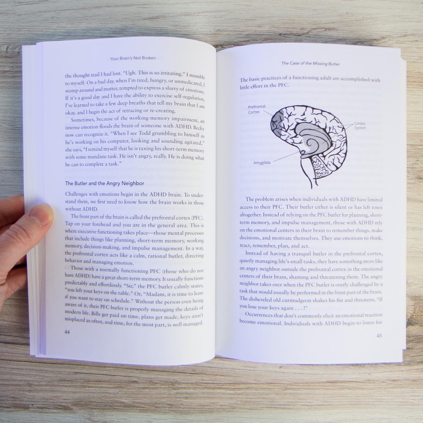 Your Brains Not Broken: Strategies for Navigating Your Emotions and Life with ADHD | Guide &amp; Workbook for Neurodivergent A 6