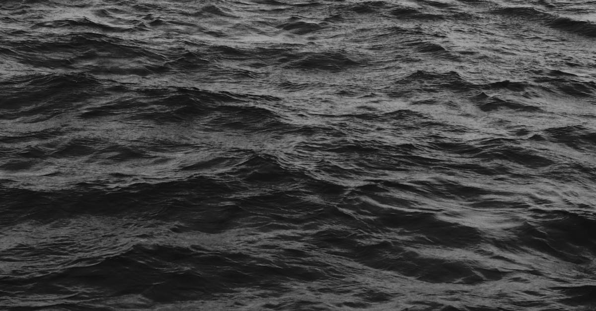 body of water