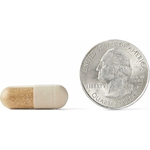 71gR5ELvRTL._AC_SL1500_