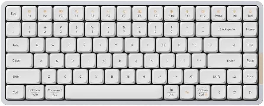51PA5IpAlML._AC_SL1080_