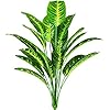 51o0zC6TPYL._AC_US100_