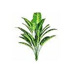 51o0zC6TPYL._AC_US100_