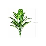 41uqafPq1fL._AC_US100_