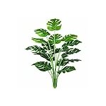 51g0h0afAsL._AC_US100_