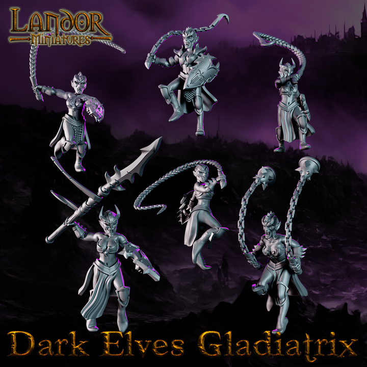 720X720-Dark elves Gladiatrix2