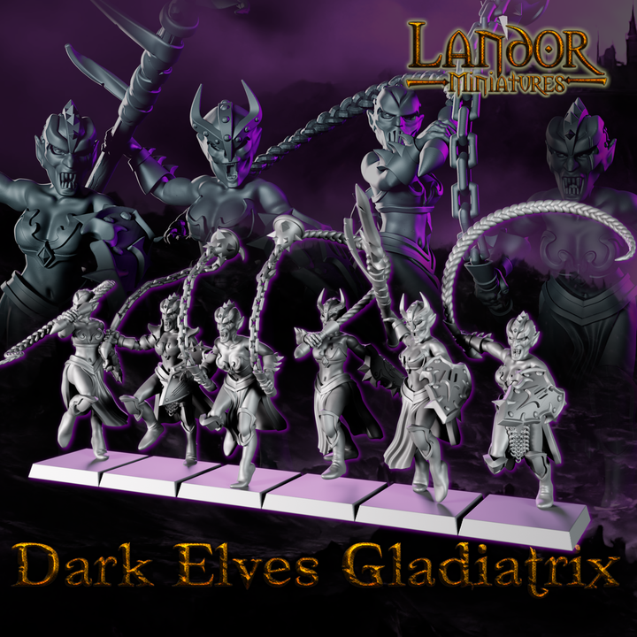 720X720-Dark elves Gladiatrix1