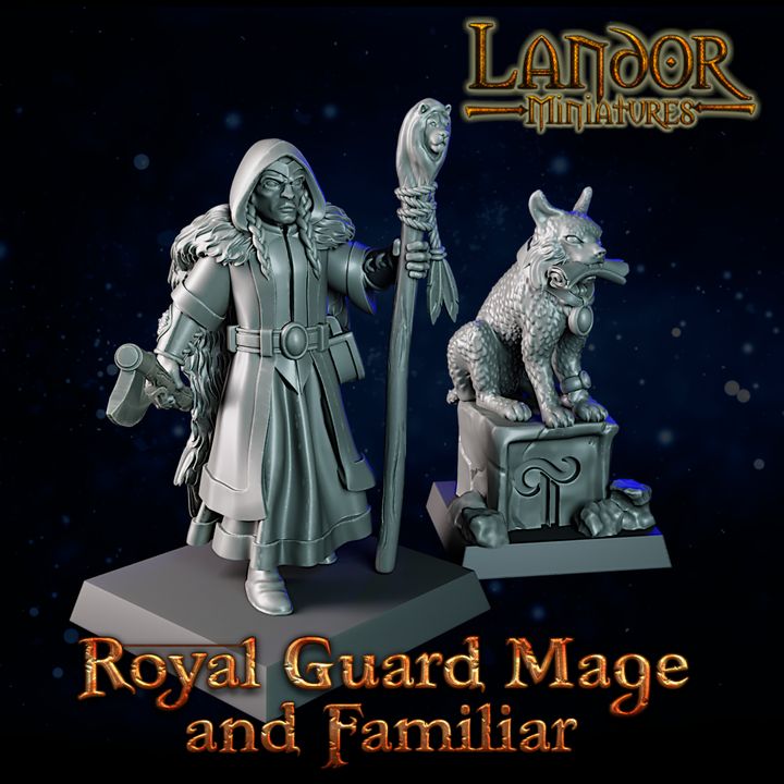 720X720-Royal Guard Mage1