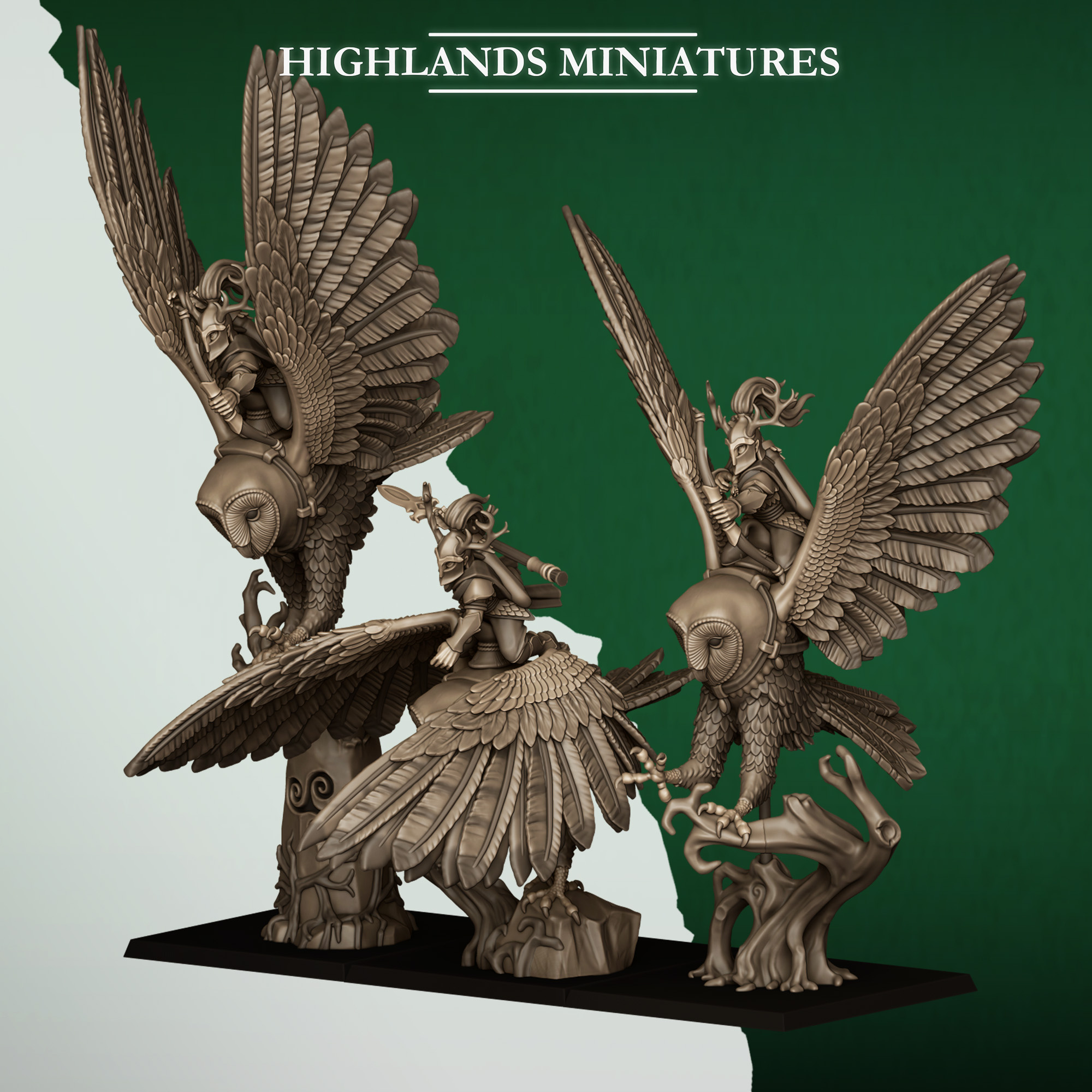 OWL_RIDERS_UNIT_4
