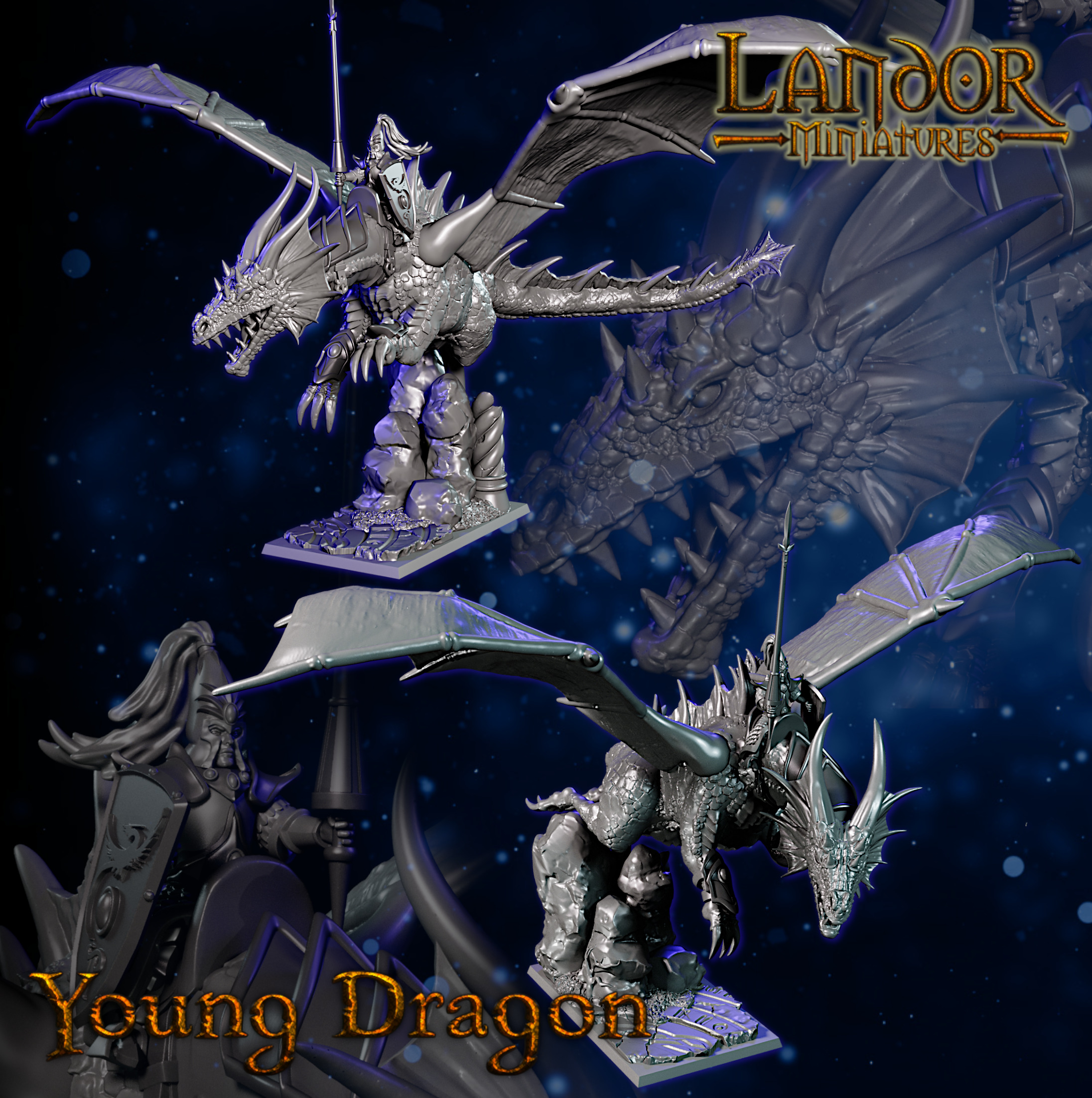 Young Dragon 2