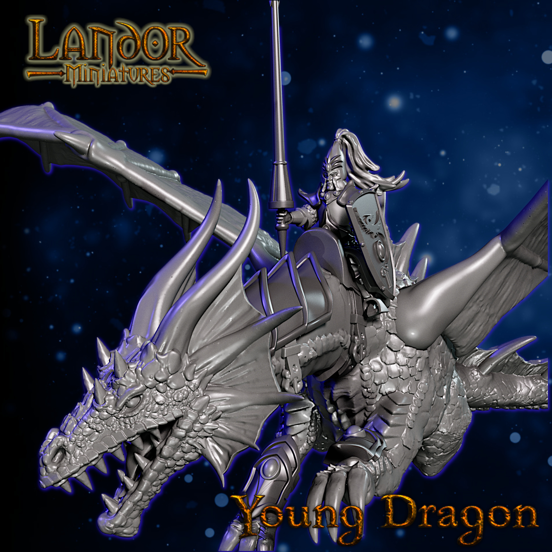 Young Dragon 1