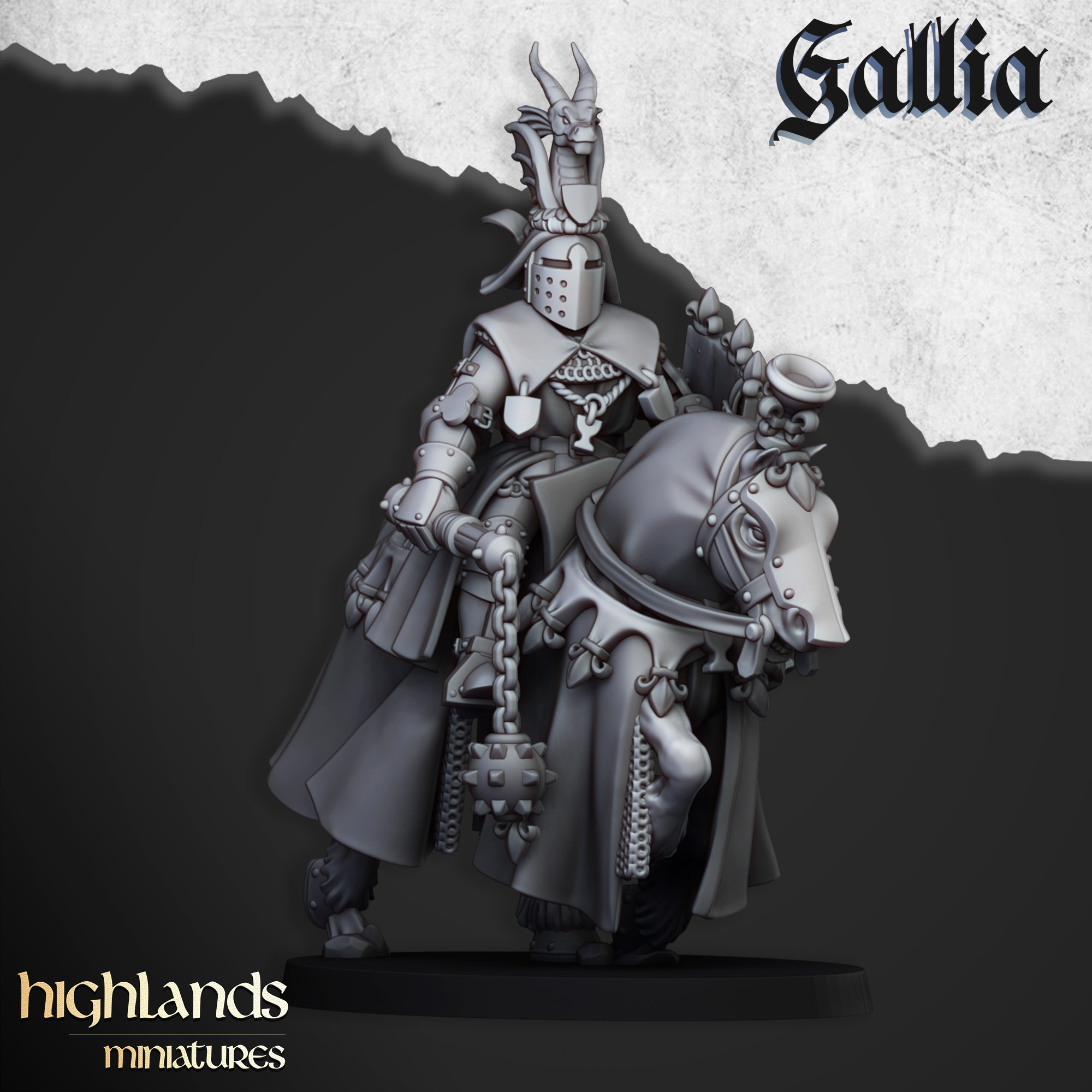royal-knights-of-gallia-captain