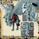 Witch hunter on pegasus3