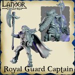 Royal Guard Captain4