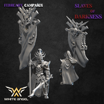 ELFOS OSCUROS - DARK STANDARD BEARER 2