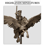 SUNLAND_GENERAL_ON_PEGASUS_4