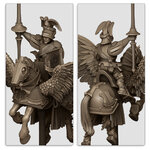 SUNLAND_GENERAL_ON_PEGASUS_3
