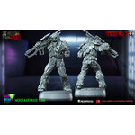 Mercenary-Raid-Team-4