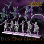 720X720-Dark elves Gladiatrix1