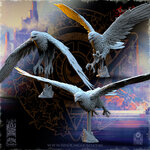 royal-eagles