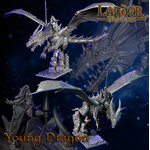Young Dragon 2