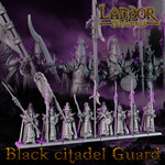 Black Citadel Guard 2