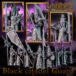 Black Citadel Guard 1