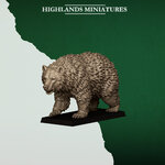 FERAL_ANIMALS_BEAR