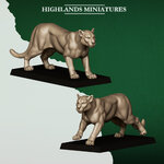 FERAL_ANIMALS_COUGARS