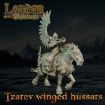Tzarev winged hussars5