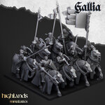 young-knights-of-gallia (1)