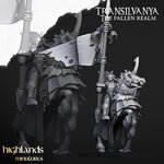VAMPIRE_KNIGHTS_BANNERMAN