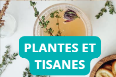 capture d ecran 2025 10 04 165347