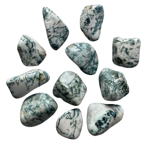 agate-arbre-pierre-roulée-origine-afrique-du-sud-qualité-A-AA-energies-chakras-lithotherapie-teora-equilibreèemotionnel-courage-lacher-prise-confiance