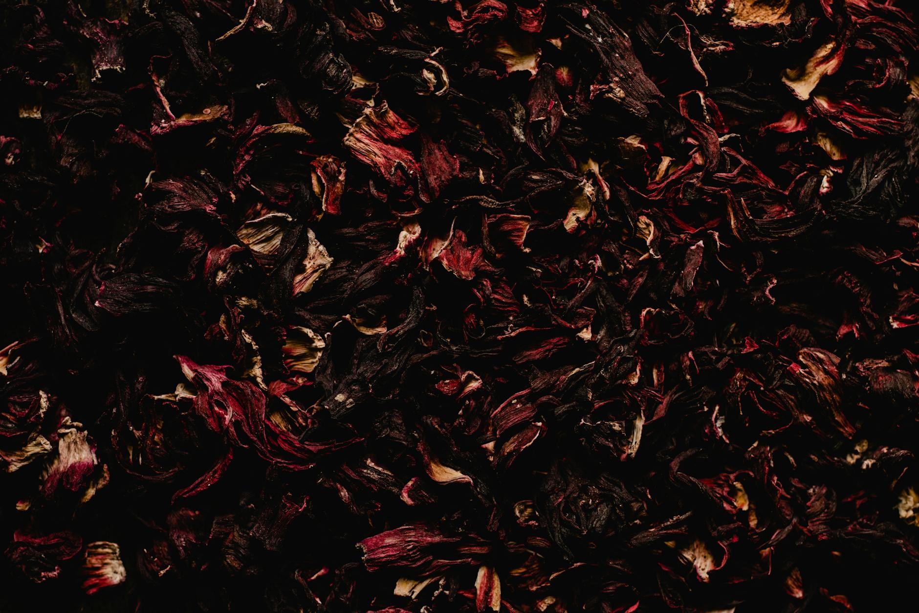 Feuilles Séchées Brunes Sur Le Sol