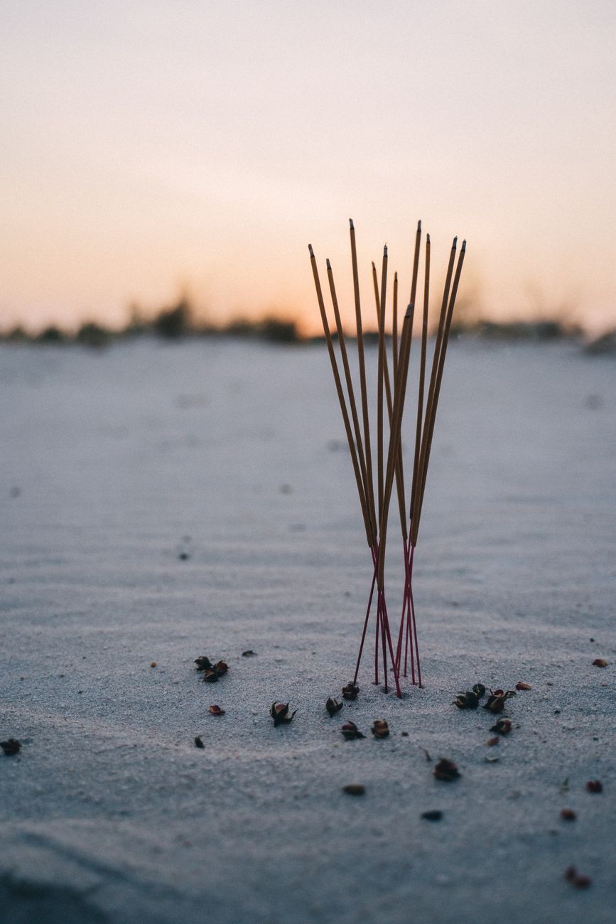 Bâtons Dencens Coincés Dans Le Sable