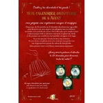 Mon-calendrier-divinatoire-de-l-Avent-26-cartes-a-decouvrir-chaque-jour-et-18-cartes-bonus (1)