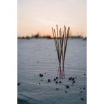 Bâtons Dencens Coincés Dans Le Sable
