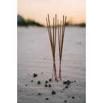 Bâtonnets Dencens Dans Le Sable