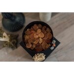 Photos gratuites de ambre, bien-être, bol