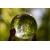 crystal-ball-3784162_1280