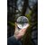 crystal-ball-6826703_1280