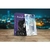 66yE0fMOp2yzHueHwqEurvS-oQmeKeomGyCEm4R1XAQ9YUqGEL9OnQ-cover-medium-zoom