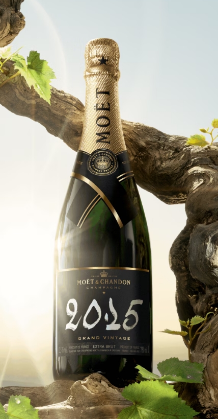 MOET ET CHANDON - Grand Vintage 2015 (Bouteille sous étui)